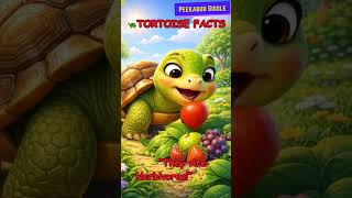 🐢✨Amazing Tortoise Facts 🐢✨