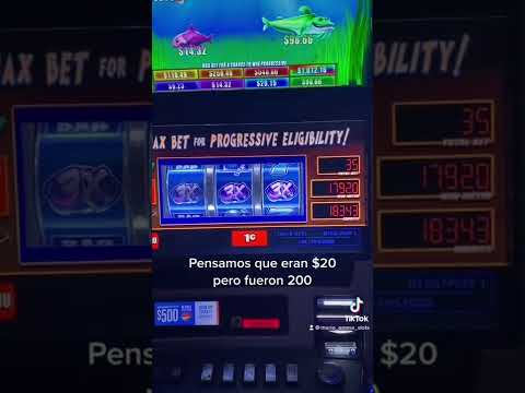 Buffalo slot win at Pala Casino, SoCal