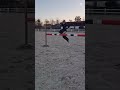 95🎀 ta technika🥀 zakwasy będą 💩 #dc #horse #ytshorts #equestrian #fypシ #shorts