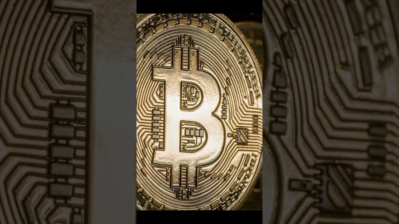 Top Crypto Picks In 2024 