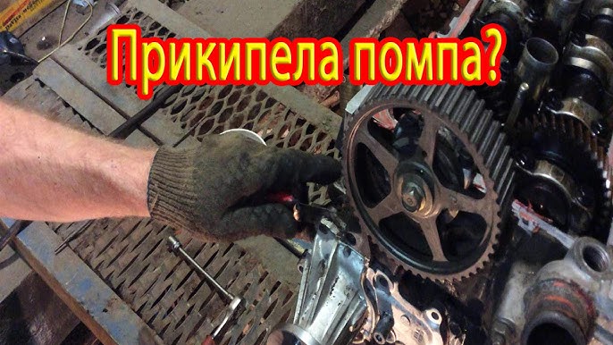 Жыныстық қатынасқа түскен ХХХ әйелдердің жалаңаш суреттері Нудистикалық жағажайда сорғыш