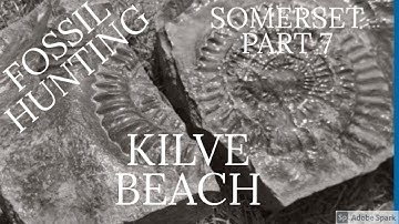 FOSSIL HUNTING SOMERSET PART 7
