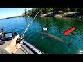 Top Fishing Spots for 50+ Inch Muskies Best Locations Across the US and Canada!