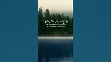 استغفر الله العظيم واتوب اليه. القارئ #رعد_الكردي ،سورة الحج. #quran #القرآن #القرآن_الكريم