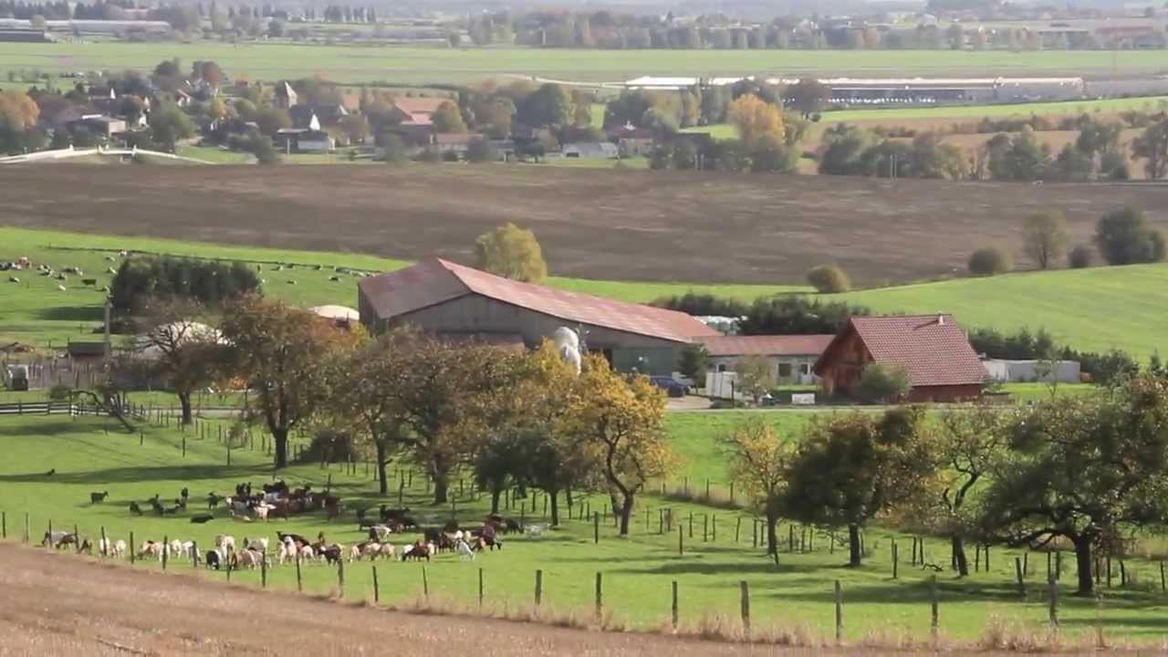 Ferme des trois chênes - YouTube