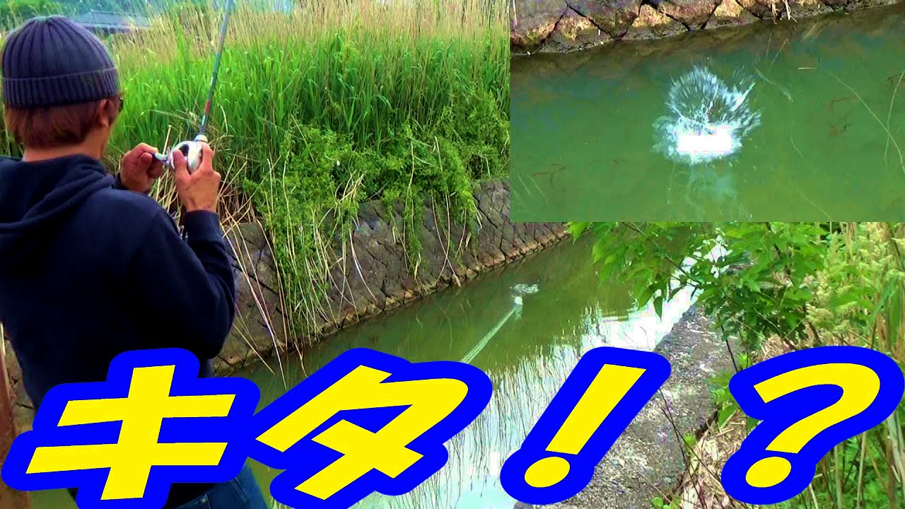 バス釣り 見えている魚を狙へ と新作ガンティア試し投げ Youtube バス釣り 見えている魚を狙へ と新作ガンティア試し投げ Youtube