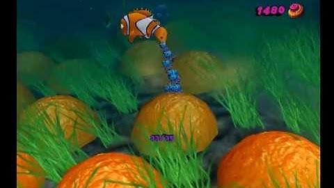 #2 Finding Nemo - Field Trip