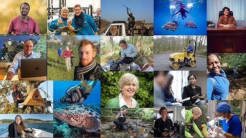 Webinar | How to Apply for Any Conservation Job