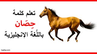 حصان باللغة الإنجليزية l سلسلة أسماء الحيوانات بالإنجليزية