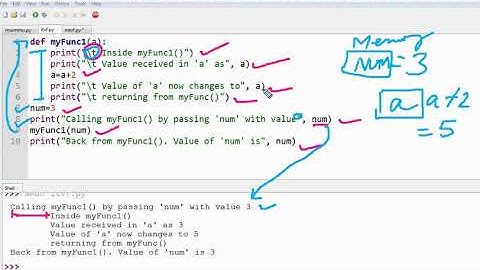 Passing Mutable and Immutable Type Values to a Function