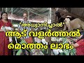 ആട് വളർത്തൽ ||മലബാറി ആട് മൊത്തം ലാഭം ||Goat Farming Malayalam||Adu valarthal||