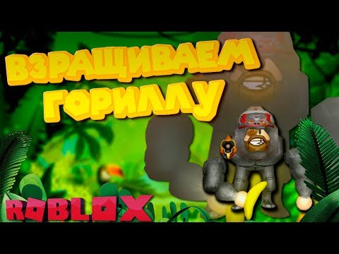 Видео: Роблокс СИМУЛЯТОР ВЗРАЩИВАНИЯ ГОРИЛЛЫ ROBLOX Gorilla Simulator 2