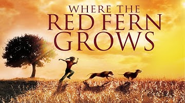 Where the Red Fern Grows (1974) | Full Movie | James Whitmore | Beverly Garland | Jack Ging
