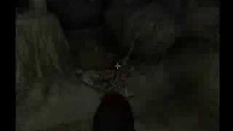 Oblivion Walkthrough-Fighters The Fugitives