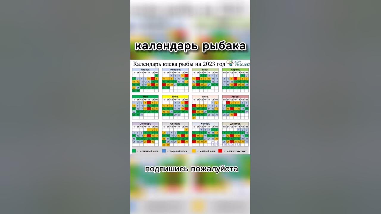 Календарь рыбака - YouTube
