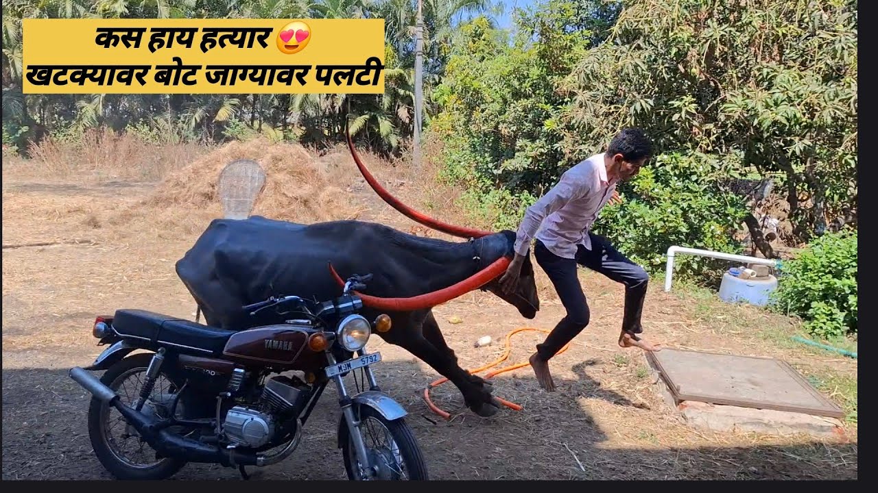 नाद फक्त रक्तातला | नाद फक्त पंढरपुरीचा | कस हाय हत्यार 😍 खटक्यावर बोट जाग्यावर पलटी 🤣🤣