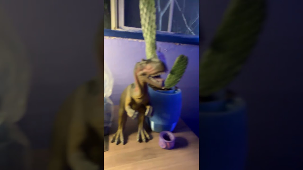 The super kids room! Fairy lights - Spider-Man - Unicorn - Terrarium and more! 