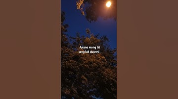 KALIH WELASKU lagu terbaru Denny caknan #kalihwelasku #shorts  #dennycaknan