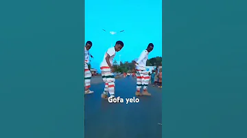 Gofa Yelo Aberetatuni 