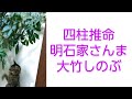 明石家さんま💛大竹しのぶを占ってみました。