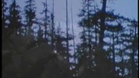 Early English Aloud and Alive; Beowulf. Clip