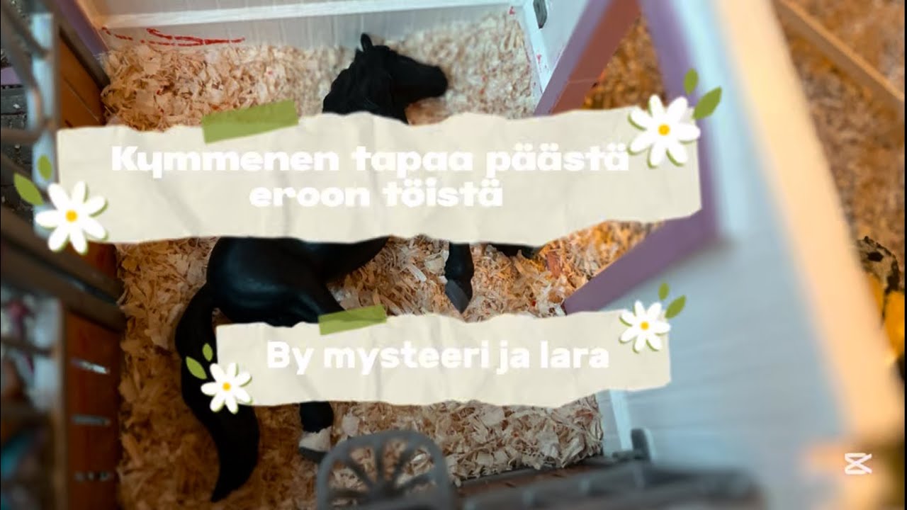 10 tapaa lintsata tunnilta.By Mysteeri ja Lara