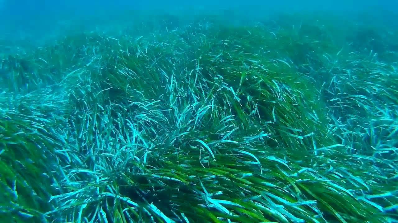 Fortizza Reef to Qiu-Si-Sana