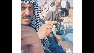 الشيخ الدكتور محمد ضاحي المسعراوي الطائي #المساعره #امارة_طي #المسعراوي