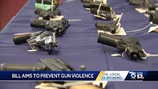 Bill aims to prevent gun violence in Alabama schools