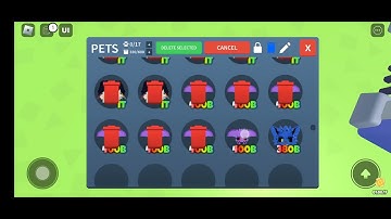 Deleting 250k+ robux worth of exclusives pets in Mining Clicker Simulator