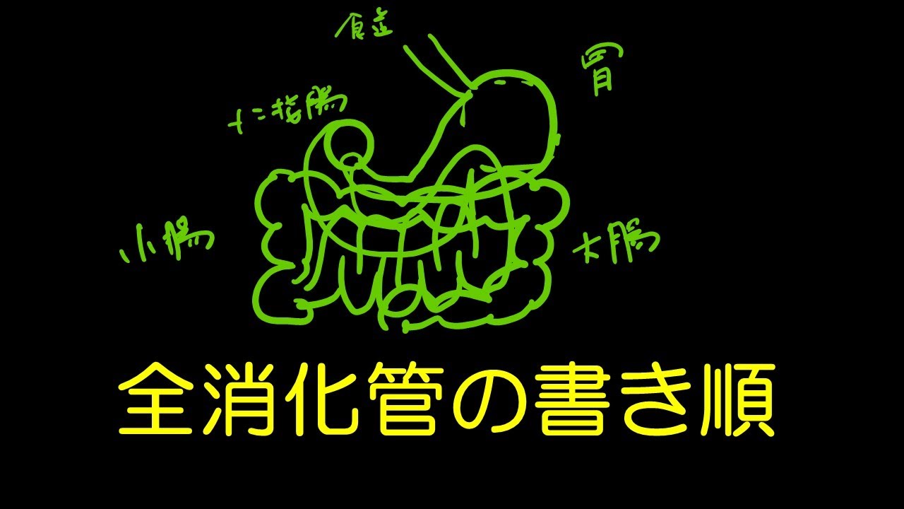 字を書くように絵を書こう 1 食道から大腸まで1分で描けます Youtube