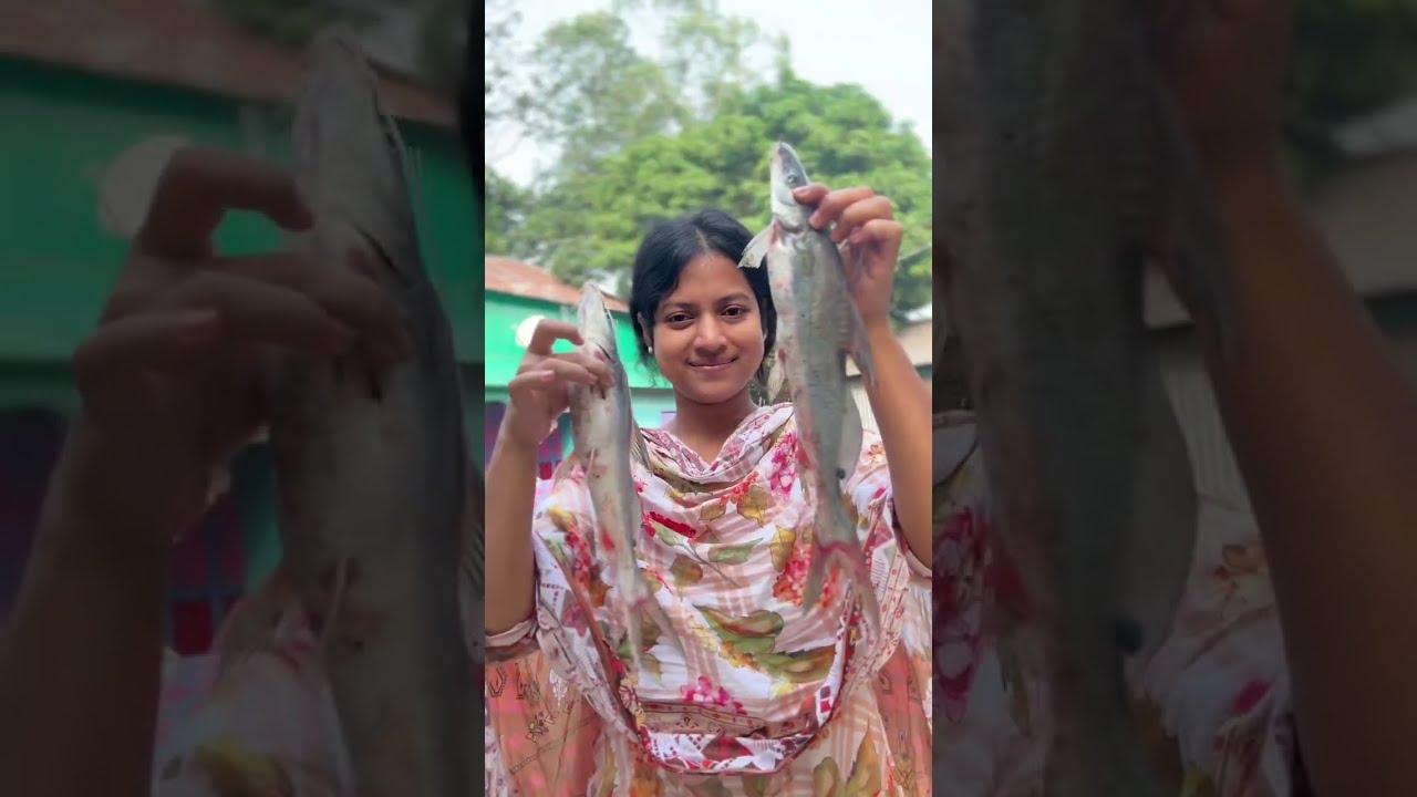 আব্বা নদীর আইর কাটা মাছ নিয়ে এলো 