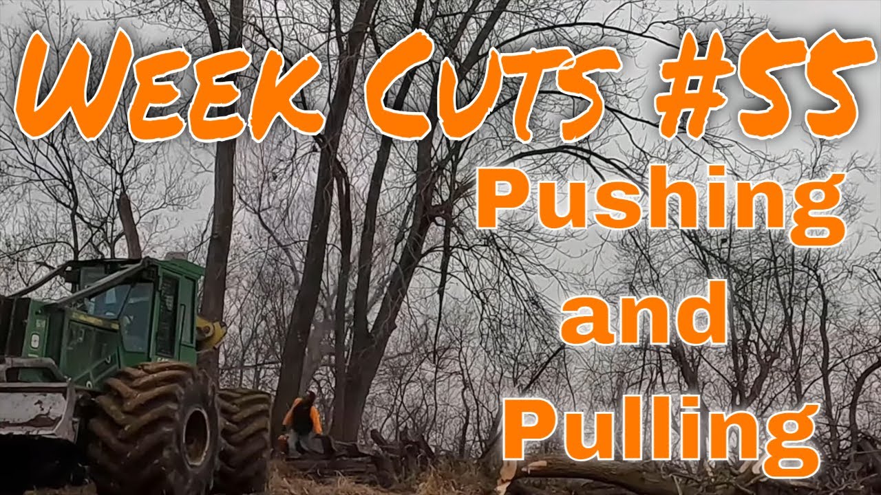 Week Cuts #55 - Pushing and Pulling a lot of trees we are cutting - YouTube