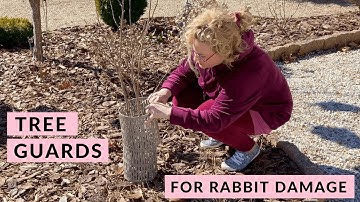 Protect Trees and Shrubs from Rabbit Damage with Tree Protectors