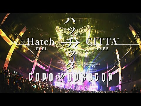 たぬき 希少 コドモドラゴン 14周年 ONEMAN TOUR「ハッチッタ Hatch→CITTA 外付光学式ドライブ