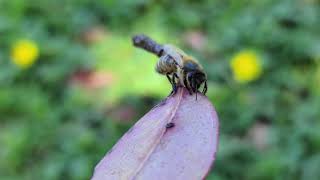 Testing 8k video on Samsung S20 Ultra screenshot 4