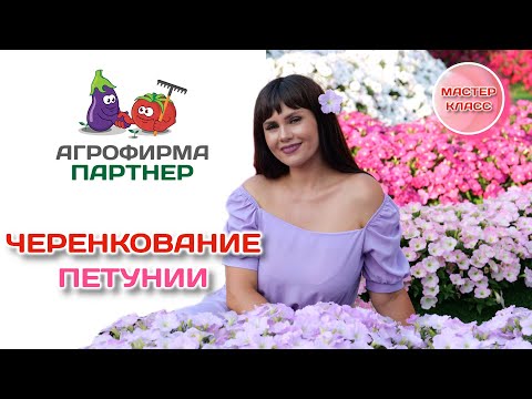 Черенкование петунии | Мастер - класс Марины Патриной | #петуния #цветывсаду #зацветёт