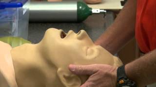 OPA Airway Adjunct