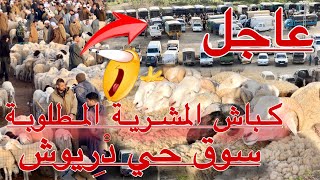 كباش المشرية تزور سوق حي دريوش  لمدينة الورود البليدة أخبار كباش العيد من بلدية بوعرفة و لأول مرة