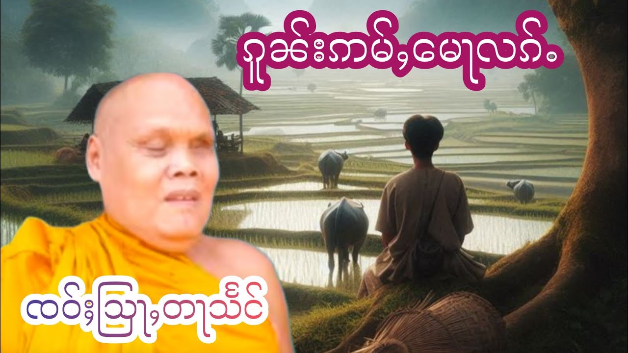 ၵူၼ်းဢမ်ႇမေႃလၵ်ႉ ၸဝ်ႈသြႃႇတႃသႅင်