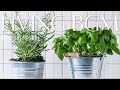 【作業用BGM】リビングで聴く🎶爽やかな朝のメロディー🌿｜Morning Melody｜暮らしを豊かにするBGM