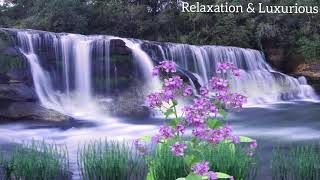 Peaceful Music For Mind Relaxation, Waterfall For Night Romance screenshot 2