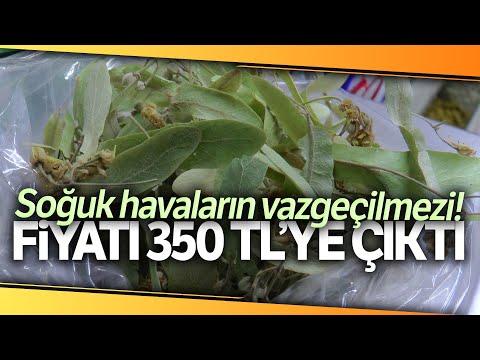 Soğuk Havaların Vazgeçilmezi Fiyatı 350 TL'ye Çıktı