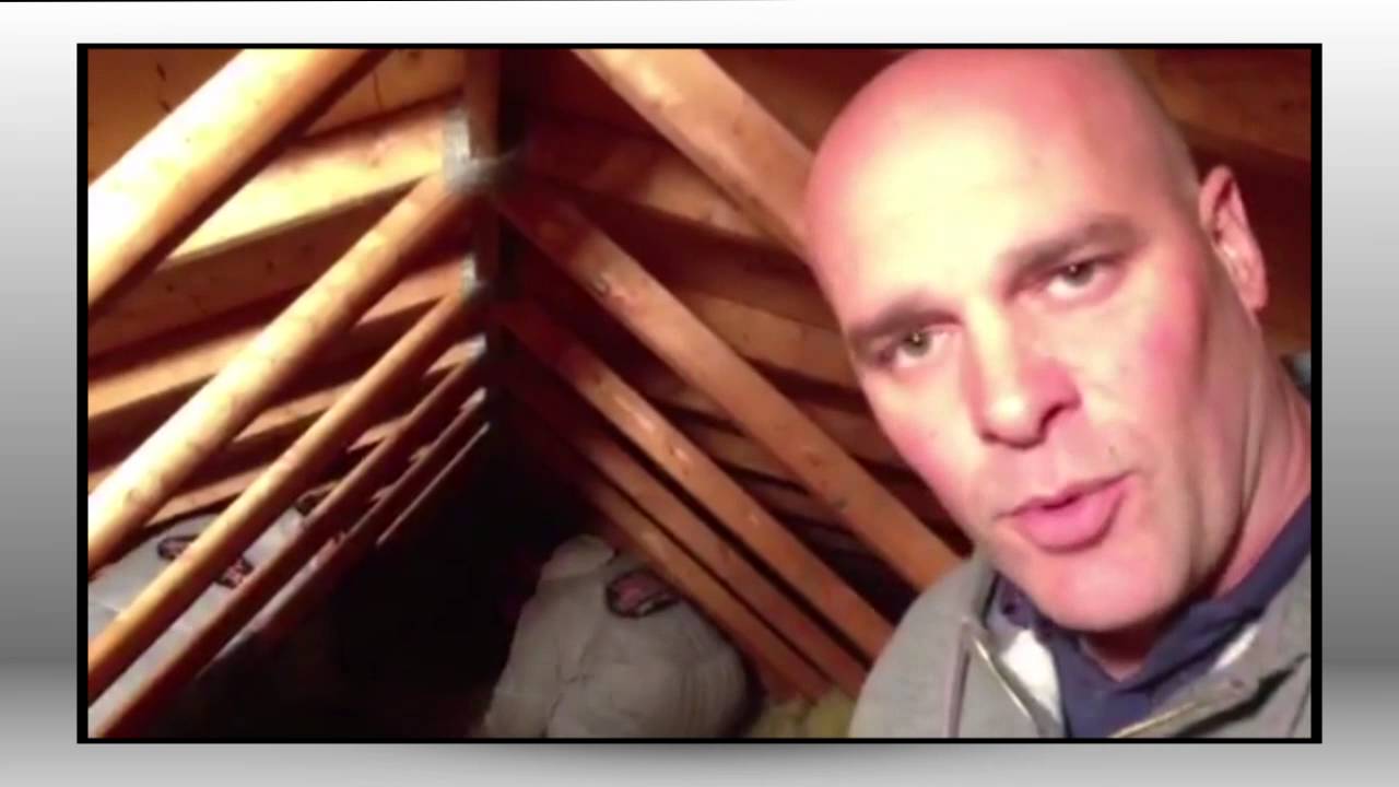 Removing Attic Insulation with Bryan Baeumler | Insta-Insulation