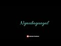 Kanavae nee naan vizhikkavillai song whatsapp status  gokulan creations