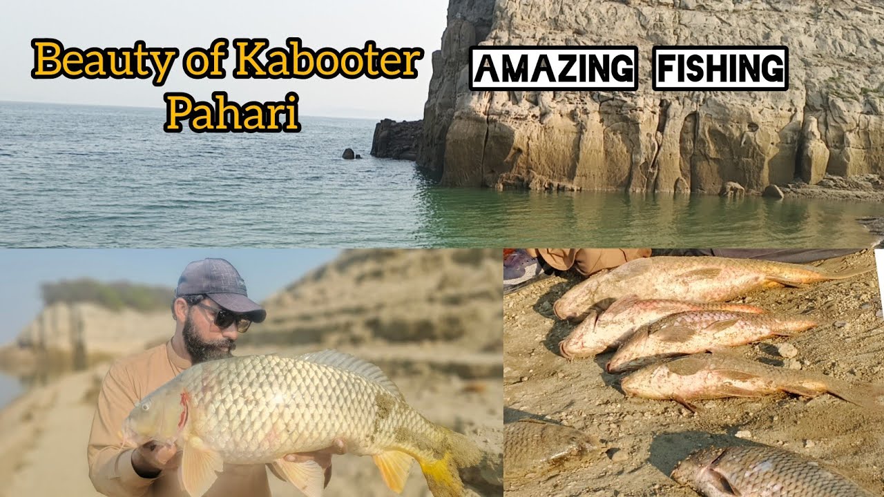 Mangla dam Kabooter Pahari// February 2026//very good game//enjoy the video 