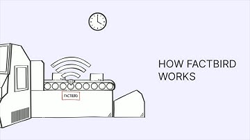 How Factbird Works