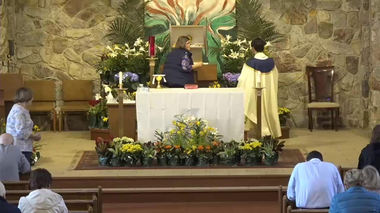 Daily Mass April 9, 2024 YouTube