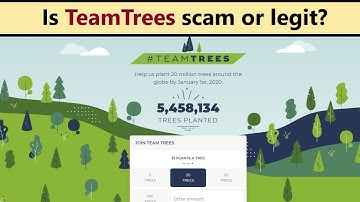 Teamtrees - scam or real project? Should you believe in Team Trees?