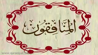 الشيخ عبدالله كامل - سورة المنافقون